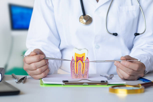 Best Emergency Wisdom Tooth Extraction in Decordova, TX